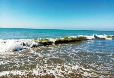 découvrez notre gamme de crèmes solaires pour une protection optimale contre les rayons uv. profitez du soleil en toute sécurité tout en préservant la douceur de votre peau. choisissez la qualité et la performance pour des journées ensoleillées inoubliables.